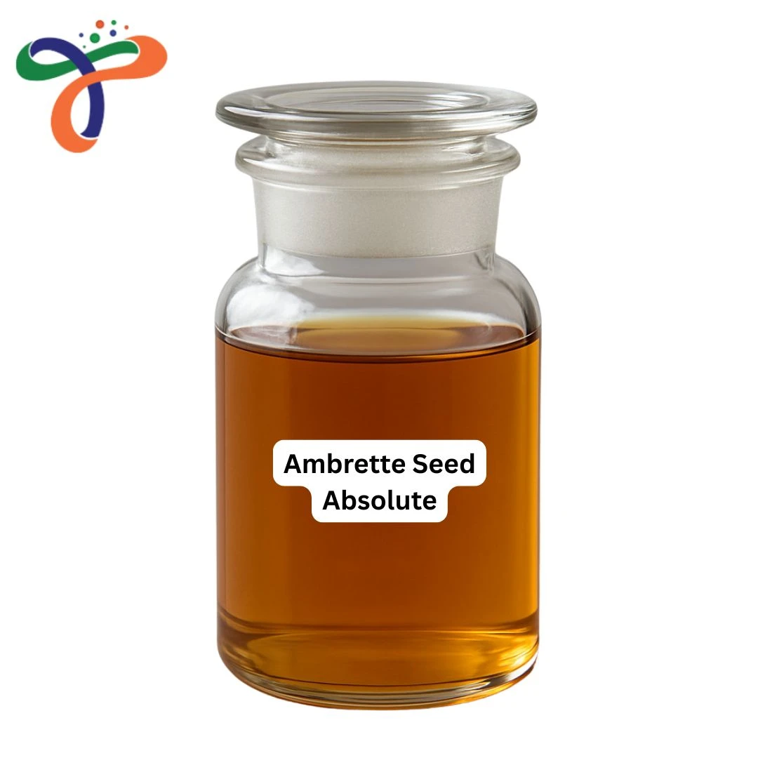Ambrette Seed Absolute